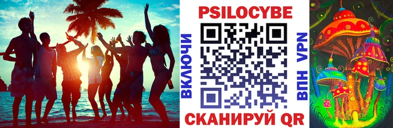 Галлюциногенные грибы прущие грибы  Купить закладки  Новохопёрск 
